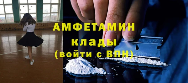 дурь Алексин