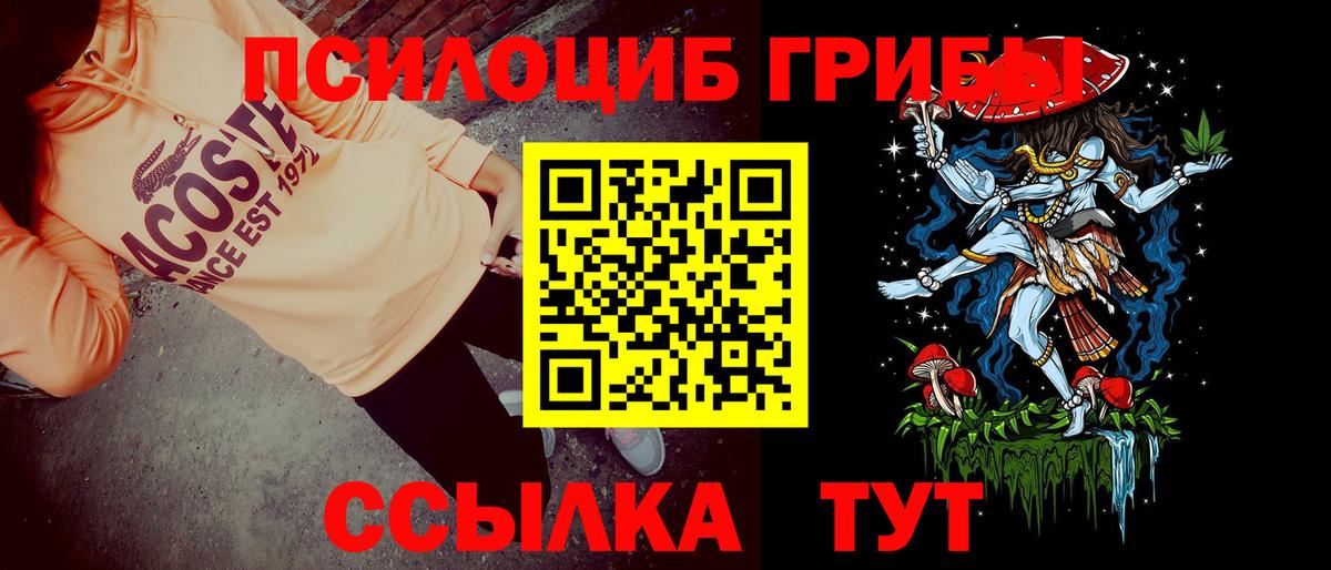Псилоцибиновые грибы мицелий Калач-на-Дону